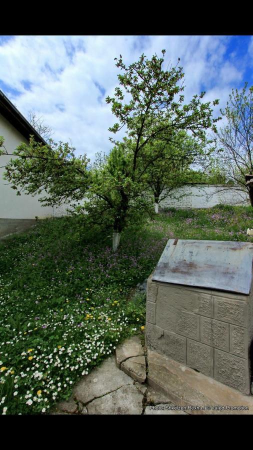 Bujtina Zhaveli Bed & Breakfast Gjakova Luaran gambar